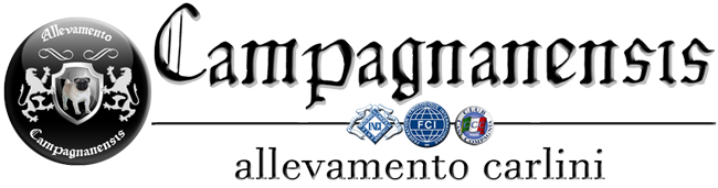 LOGO CAMPAGNANENSIS CARLINI